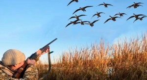 Create meme: duck hunting, hunting
