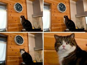 Create meme: and watch cat meme, the cat looks at his watch, meme with a cat and a clock