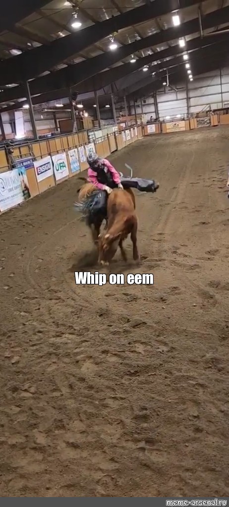 Goat Rodeo Memes