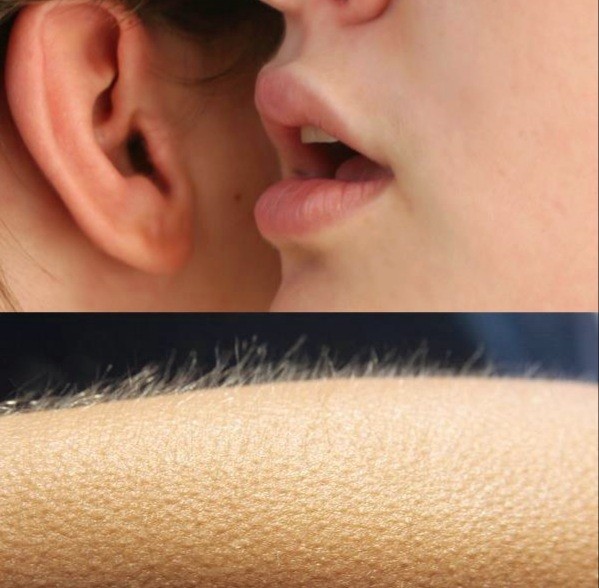 Create meme: goosebumps on the skin, Whisper in your ear, Whispers goosebumps in my ear