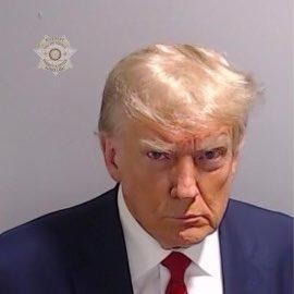 Create meme: trump mugshot, trump arrest, trump's mugshot