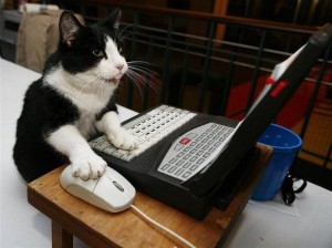 Create meme: cat hacker, the cat at the computer