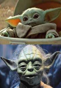 Create meme: yoda star wars, Yoda star wars baby, baby yoda star wars
