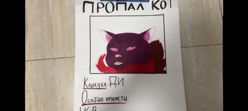 Создать мем: котик ниндзя мем, осторожно злой кот, кошка