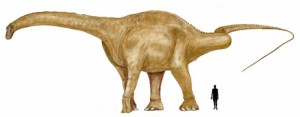 Create meme: extinct, t rex, Triceratops