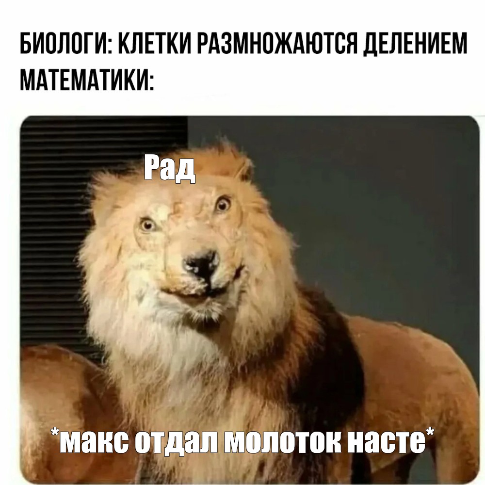 Что за тигр этот лев мем. Лев мемы. Мем я экстремист со львом. Тигриный Лев Мем.