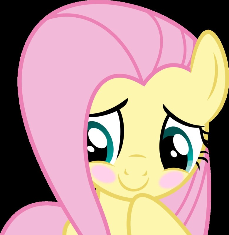 Create meme: fluttershy , fluttershy pony , fluttershy 