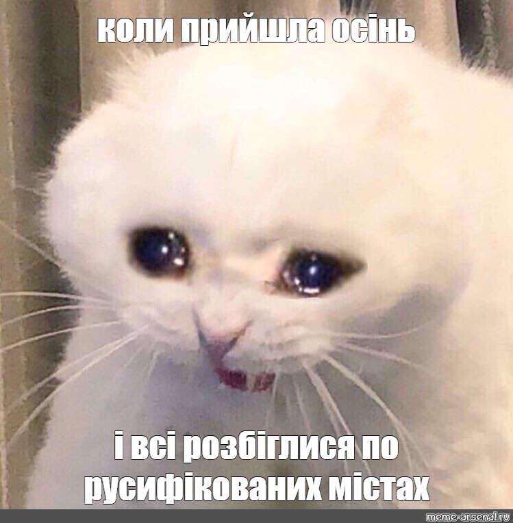 Мем: "коли прийшла осінь і всі розбіглися по русифікованих містах" - Все  шаблоны - Meme-arsenal.com