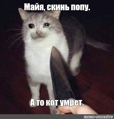 Создать мем: null