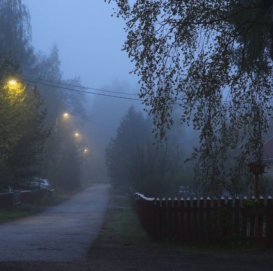 Create meme: evening in the village, night mist, foggy evening