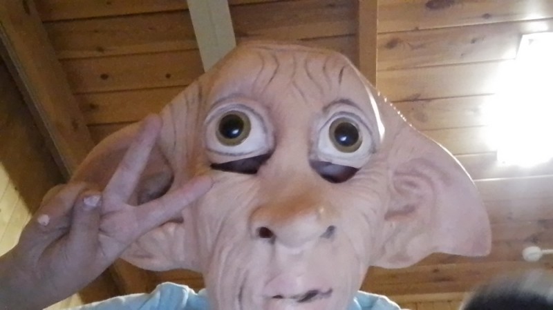 Create meme: dobby's mask, Dobby Harry Potter, Harry potter dobby mask