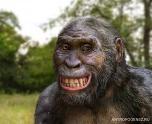 Create meme: Australopithecus