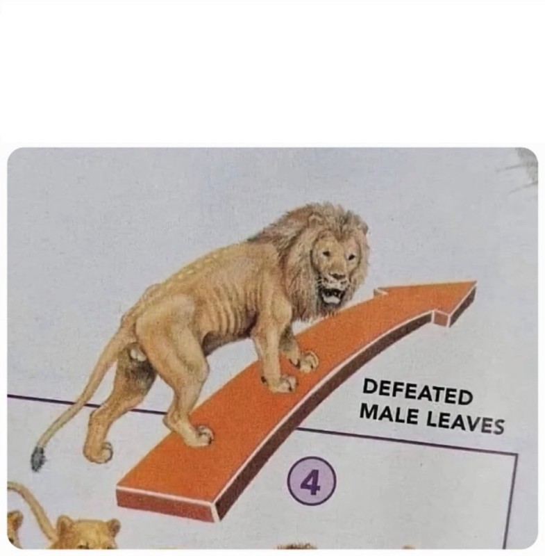 Create meme: symbol, lion , running lion