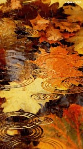 Create meme: autumn rain, autumn leaves, autumn