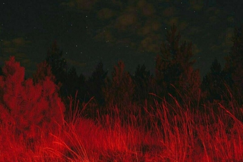 Create meme: night, night forest , Aesthetics are red