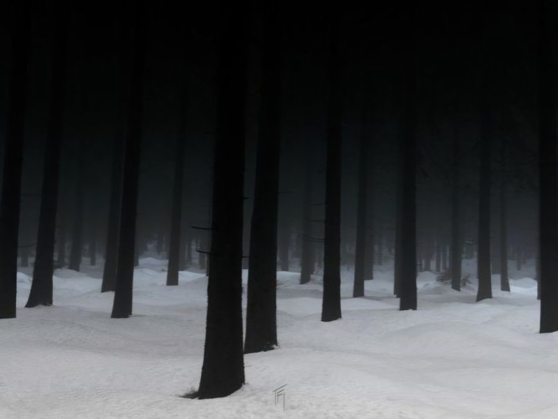 Create meme: snow forest, foggy forest background, winter forest