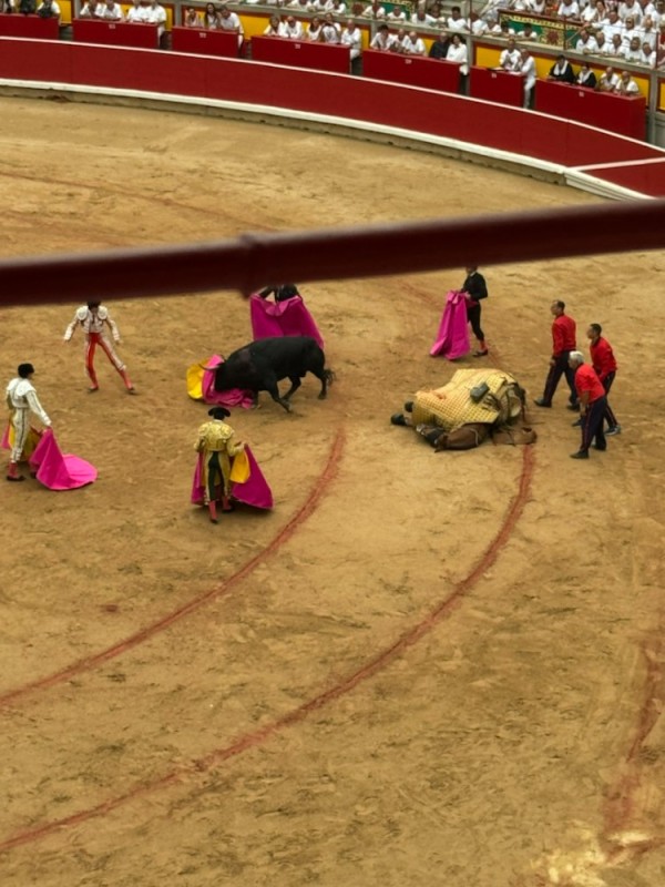 Create meme: Spain bullfighting, Spanish bullfight , Spain bullring