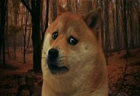 Создать мем: грустный doge мем, мем собака, doge собака