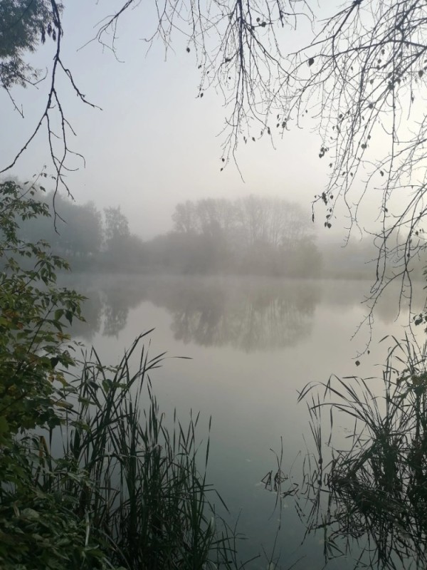 Create meme: blurred image, fog over the river, foggy morning