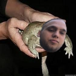 Create meme: toad, keep a toad, meme keep the toad