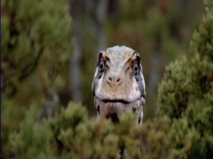 Создать мем: животные, рептилии, bbc прогулки с динозаврами стероподон