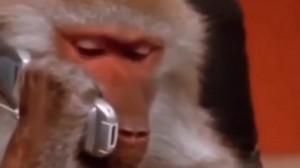 Create meme: a monkey with a phone, talking on the phone