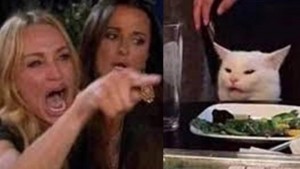 Create meme: woman yelling at cat meme, meme with screaming woman and a cat, the meme with the cat and the woman