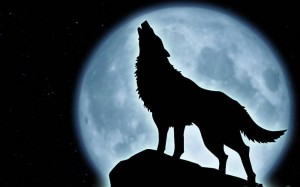 Create meme: the howling wolf, wolf moon background, wolf howling at the moon