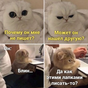 Создать мем: кот мем, ты котик, мемы