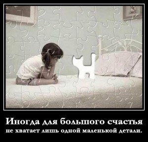 Create meme: sometimes for happiness lacks only a, sometimes happiness is not enough one small detail, sometimes happiness is not enough