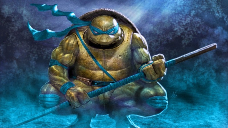 Create meme: Donatello the Teenage Mutant Ninja Turtles, leonardo's teenage mutant ninja turtles, teenage mutant ninja turtles 2012 donatello