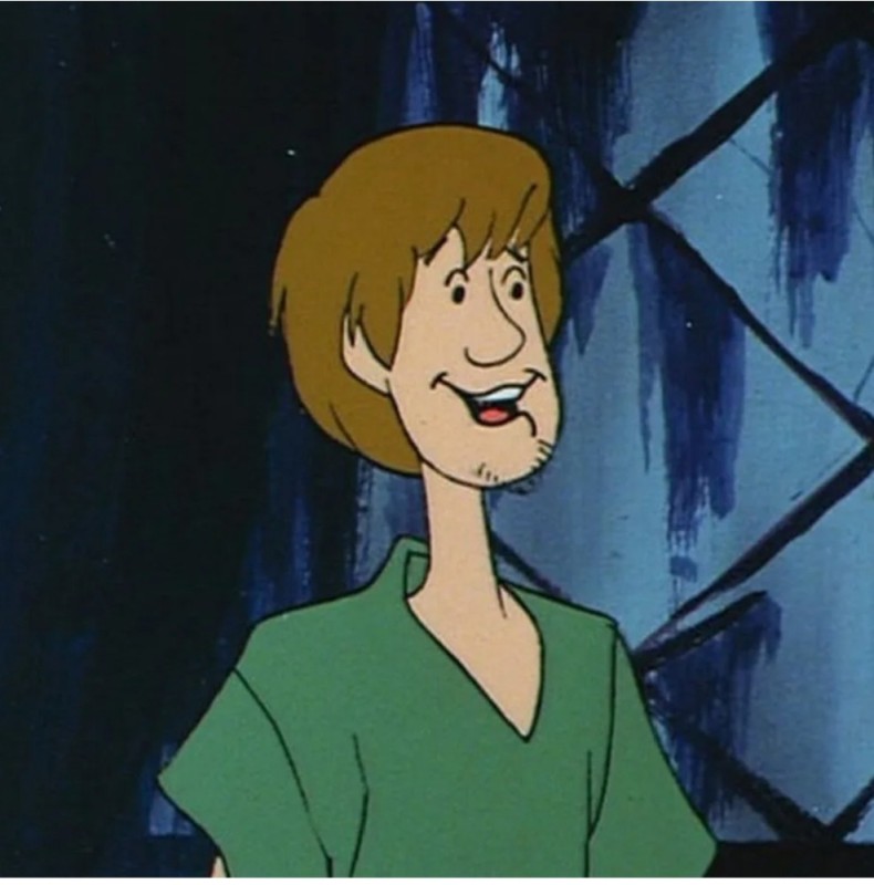 Create meme: shaggy bob, shaggy, shaggy from Scooby Doo