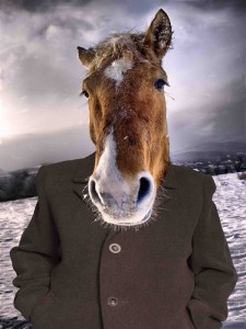 Create meme: horse head, horse horse, muzzle the horses