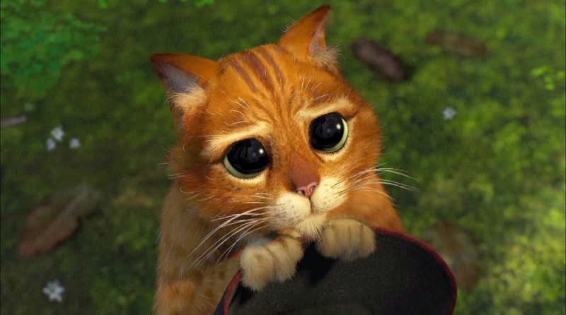 Create meme: compassionate cat from Shrek, puss in boots eyes , shrek the cat eyes