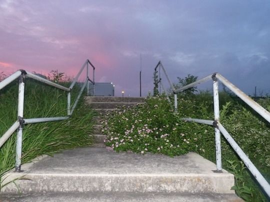 Создать мем: вишня, stair railings, лестница