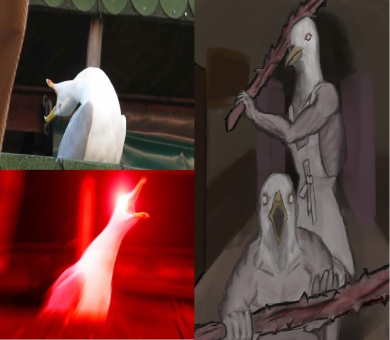 Create meme: funny jokes, Seagull meme, screaming Seagull meme original