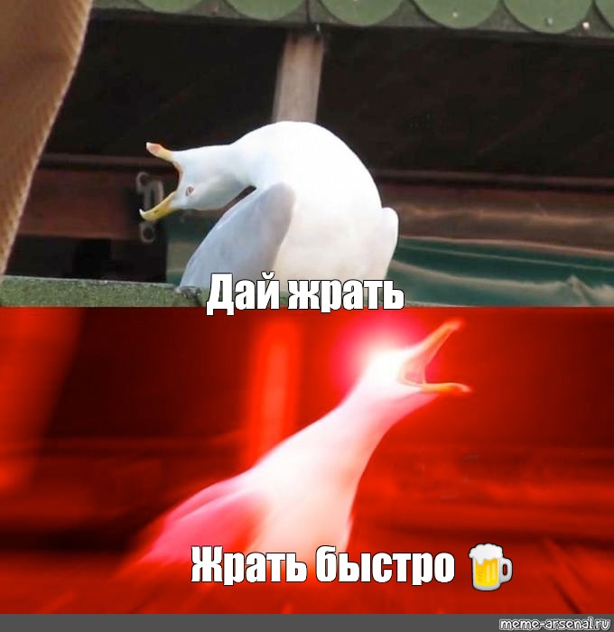 Создать мем: null