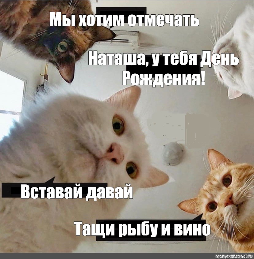 Хочется отметить