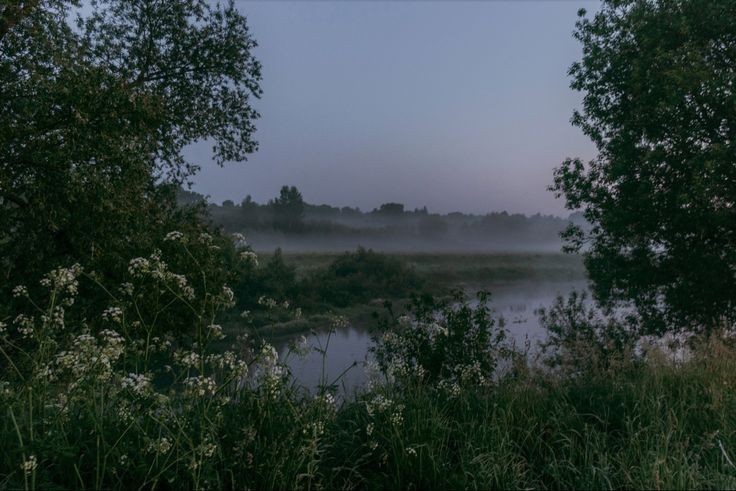 Create meme: morning river fog, morning on the river, morning on the river