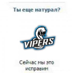 Создать мем: viper, спортивные логотипы, viper logo team