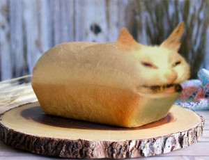Create meme: animals, bread, cat
