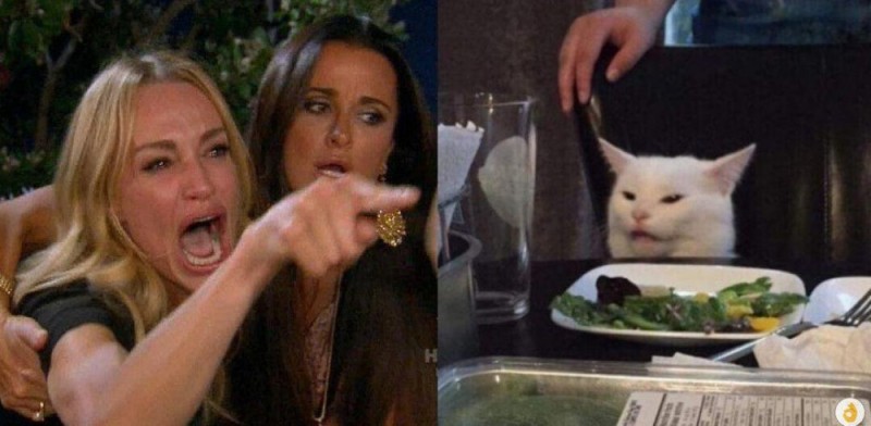 Create meme: meme woman yelling at the cat, MEM woman and the cat, cat meme 