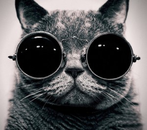 Create meme: cat space points, cat with glasses, cat in glasses pictures