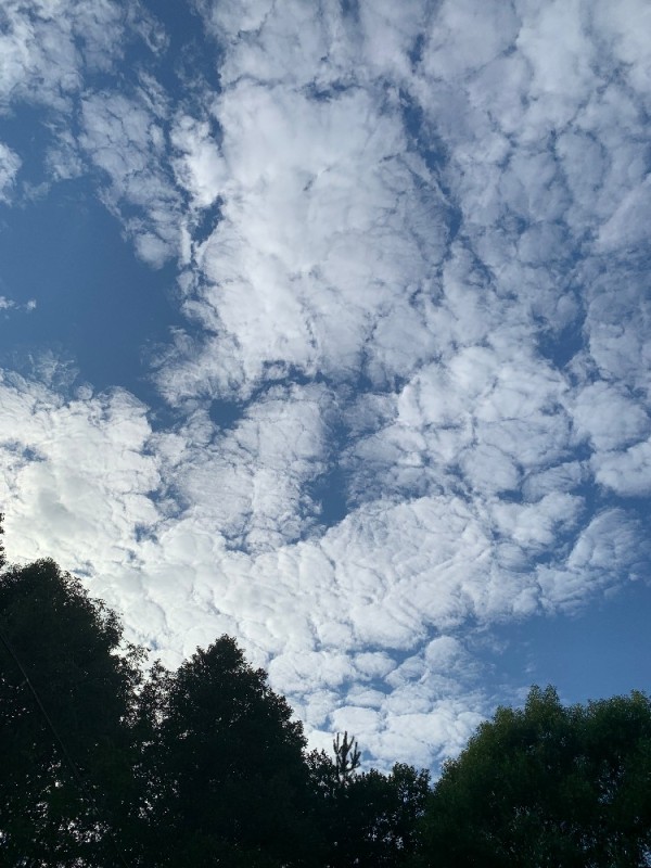 Create meme: Cumulus clouds, unusual clouds, the sky 