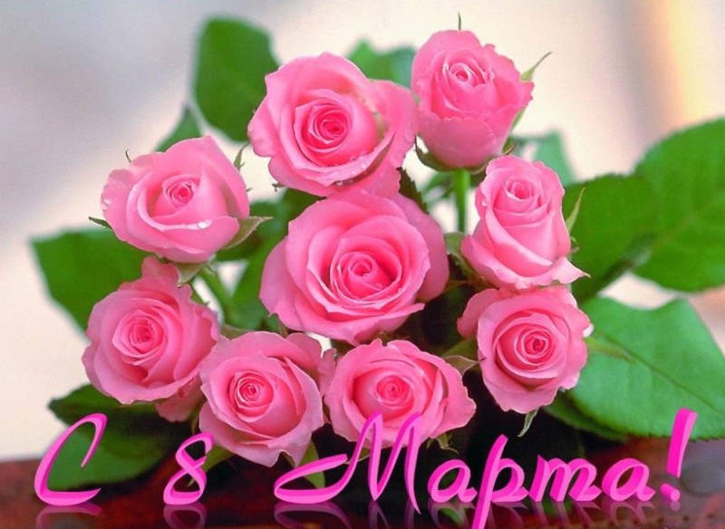 Create meme: postcard roses, pink roses , congratulations on March 8th flowers