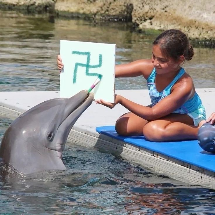 Create meme: the black sea bottlenose Dolphin, Batumi Dolphinarium, bottlenose dolphin of the Black Sea