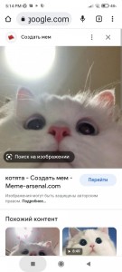 Создать мем: белый котик мем, милые котики смешные, самый милый котик