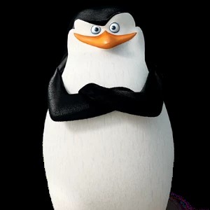 Создать мем: пингвин рико, пингвин шкипер, мадагаскар пингвины