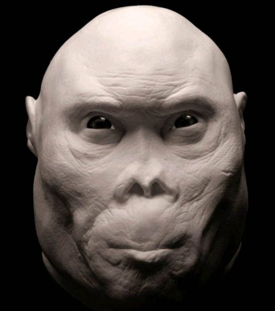 Create meme: homo rudolfensis, the human face , the face of the progenitor