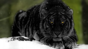 Create meme: tiger, tiger in the snow, tiger snow